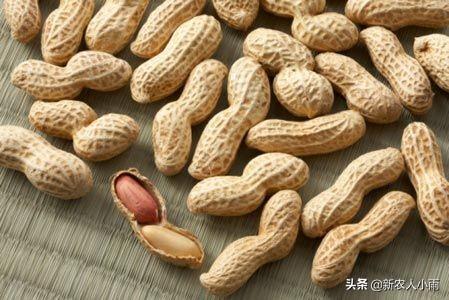 今年种了200亩花生，有没有好的办法销售，找电商可以吗？