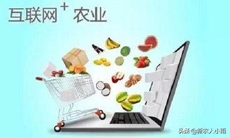 今年种了200亩花生，有没有好的办法销售，找电商可以吗？