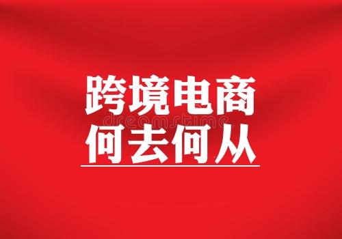 中下型企业如何在跨境电子商务中获得好的收益？