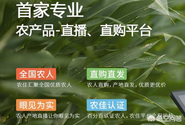 有没有帮农户卖产品的电商公司？都有哪些呢？