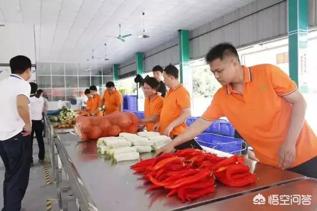 回农村老家专职做电商，该怎么来运作？