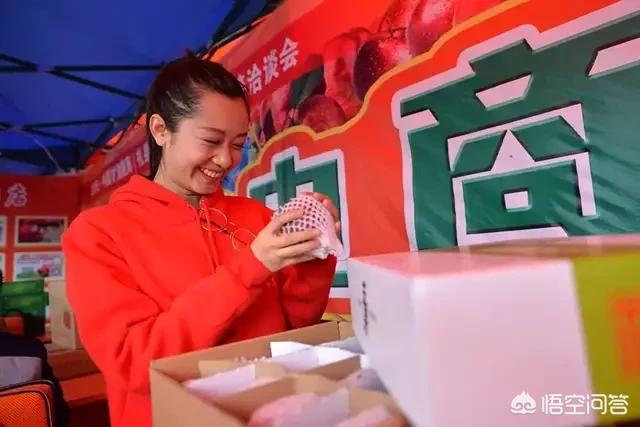 回农村老家专职做电商，该怎么来运作？