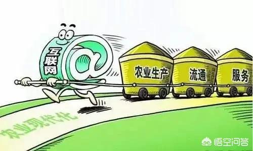 回农村老家专职做电商，该怎么来运作？