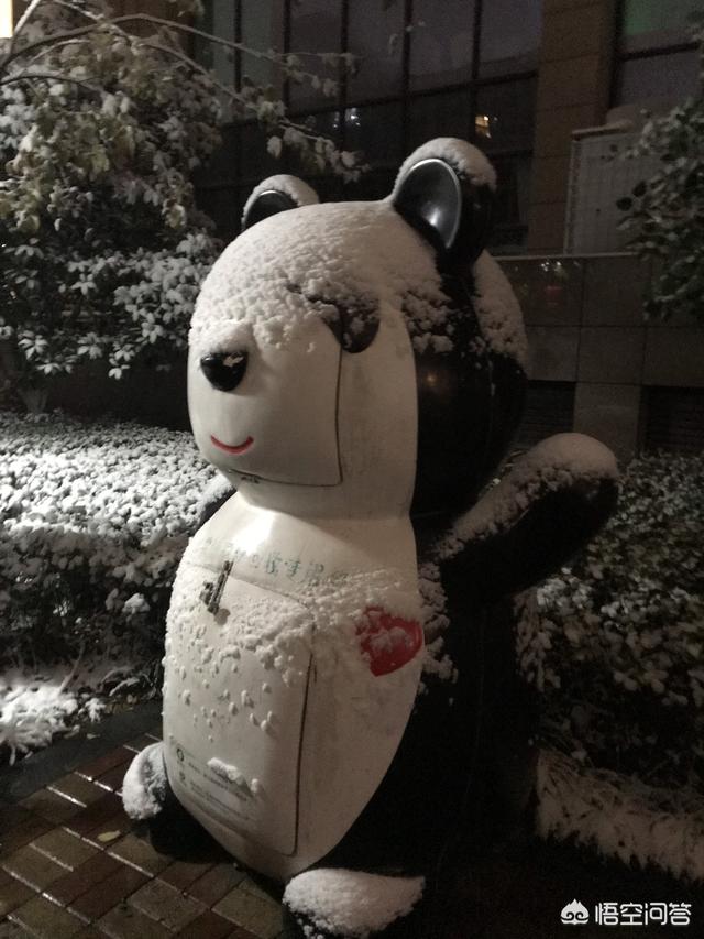 电商法来了，2019年电商行业会不会淘汰掉一部分小卖家，小卖家该如何应对？