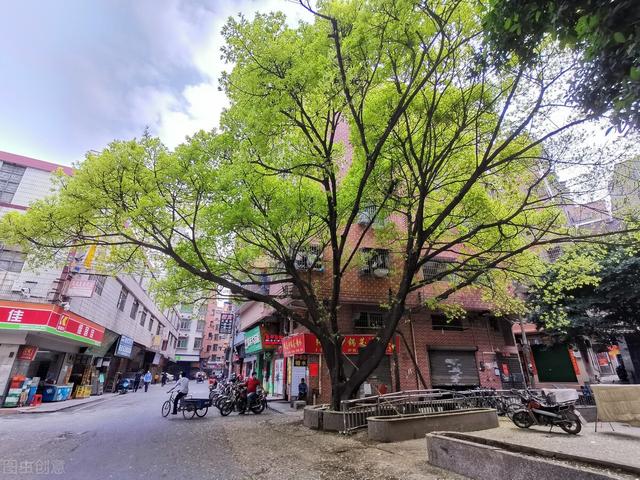 有关春天的句子有多美？你知道哪些？
