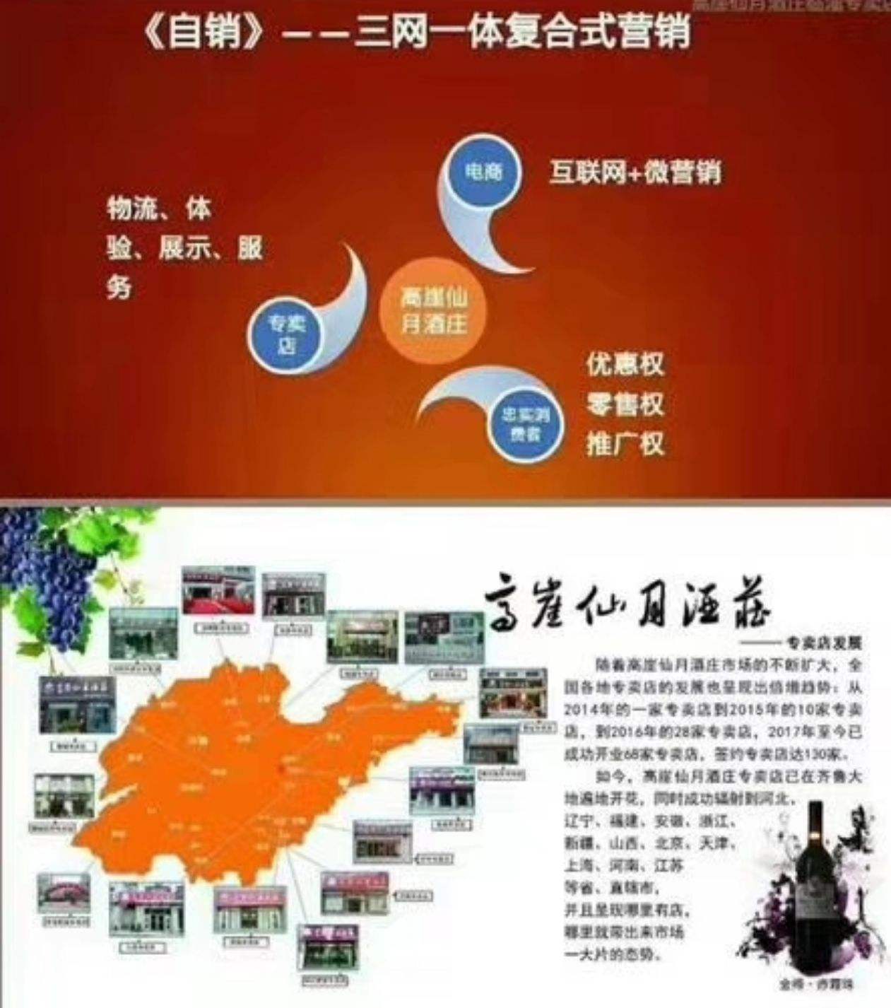 高崖仙月酒庄营销模式(高崖仙月酒庄葡萄酒老总)