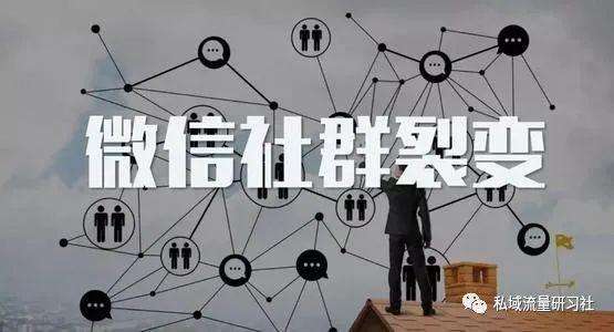 社群营销是什么(社群营销是什么意思哪些最火)