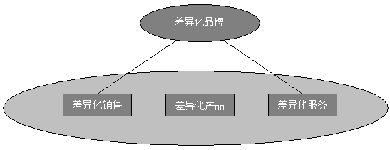 差异化营销策略(宝洁差异化营销策略)