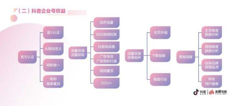 抖音网络营销策略(抖音营销方式和策略)
