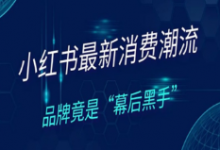 小红书营销的缺点(小红书营销策略的缺点)