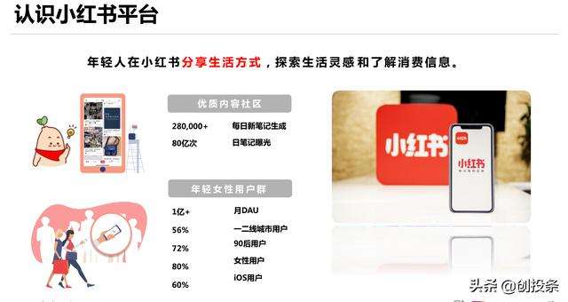 小红书运营策划方案(小红书运营策划书范文)