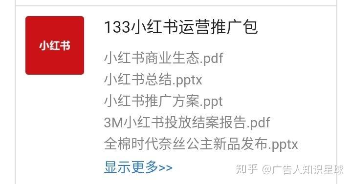 小红书广告案例分析(小红书的营销案例分析)