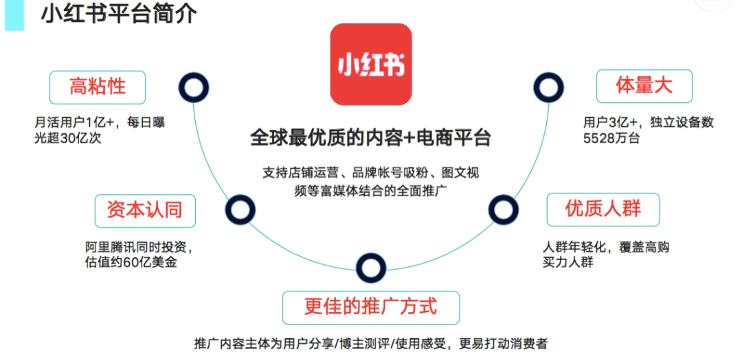 包含品牌如何在小红书营销的词条