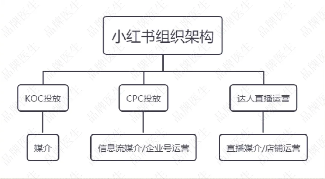 小红书怎么经营(小红书怎么经营赚钱)