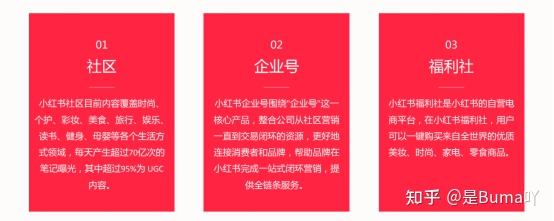 小红书如何推广运营(小红书如何推广运营商)