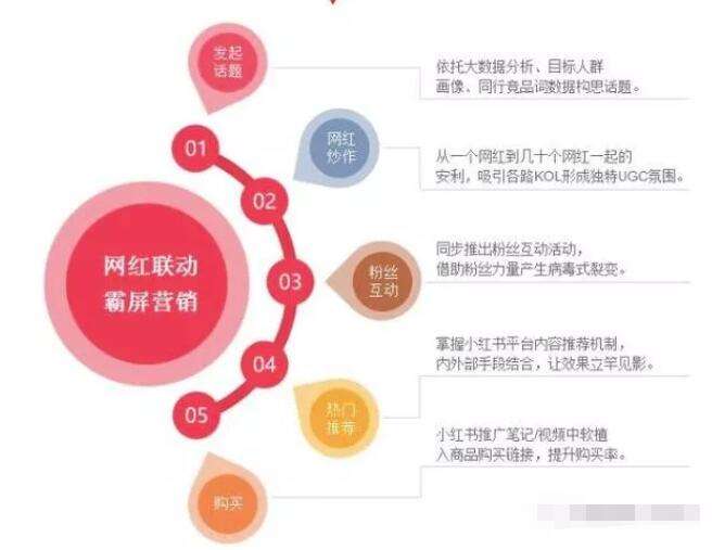 小红书产品运营策略(小红书产品运营策略论文)