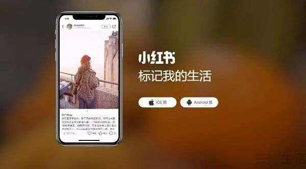 小红书营销策略研究(小红书营销策略研究的论文提纲怎么写?)
