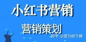 小红书微推广(小红书线上推广)