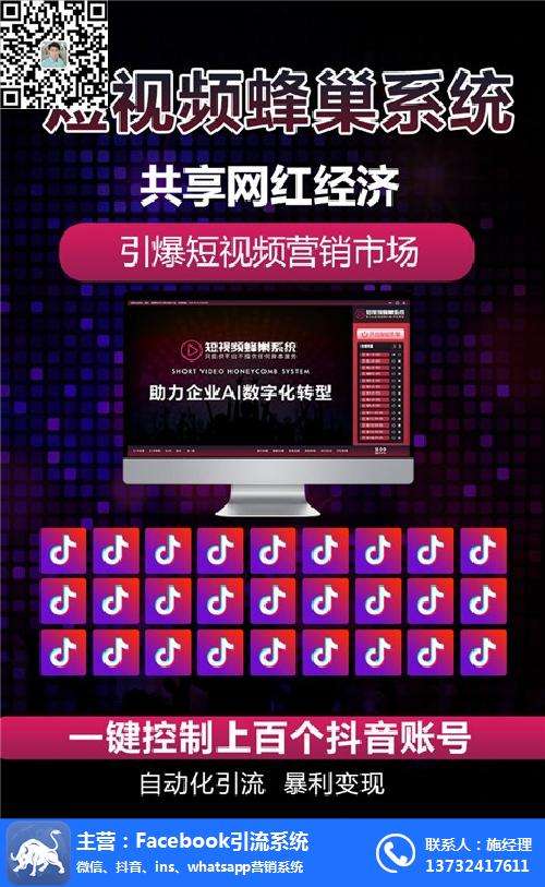 抖音营销(抖音营销方案策划)