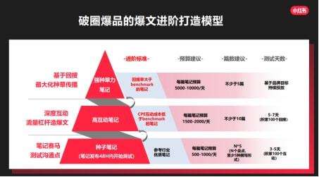 关于小红书圈层营销的信息