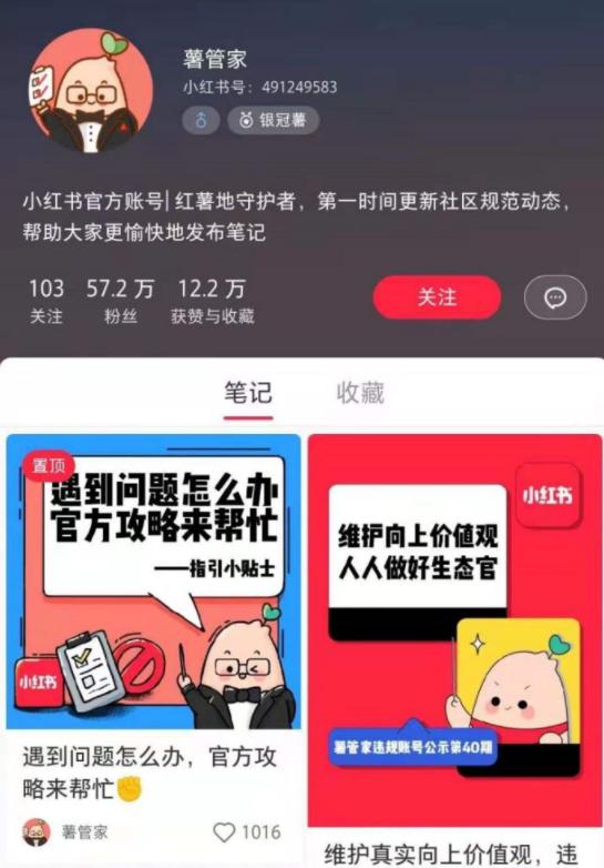 小红书运营商(小红书运营商店)