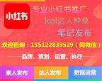 小红书推广方案(小红书推广方案总结)